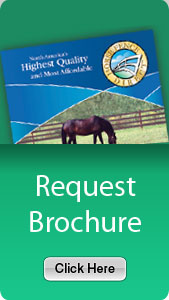 Request Brochure