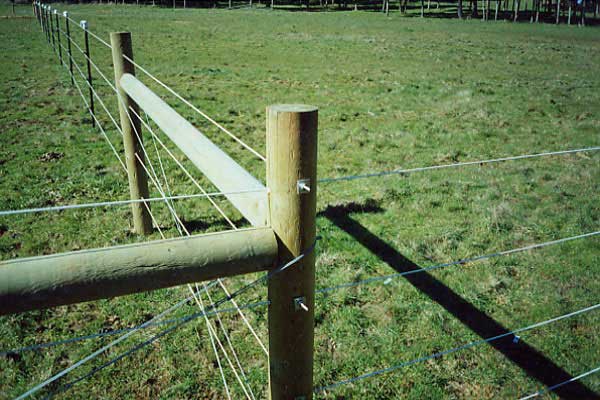 HorseFence Direct - Finish Line Monafilament Fence